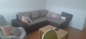 Exit Festival - flat for rent